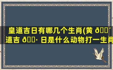 皇道吉日有哪几个生肖(黄 🐴 道吉 🌷 日是什么动物打一生肖)